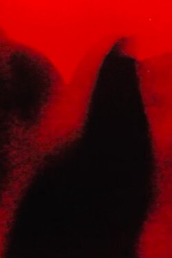 Fever (2000)
