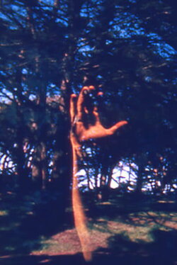 FFFTCM (1967)