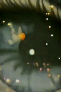 FFM (1998)