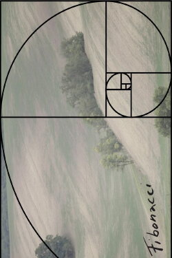 Fibonacci (2020)