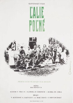 Field Lilies (1973) Field Lilies (1973)