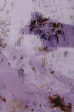 Field of Vision (2021) Field of Vision (2021)