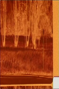 Fields Of Grain (1984)