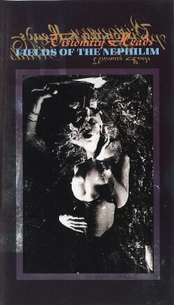 Fields of the Nephilim: Visionary Heads (1991) Fields of the Nephilim: Visionary Heads (1991)