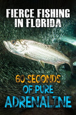 Fierce Fishing in Florida: 60 Seconds of Pure Adrenaline (2020)