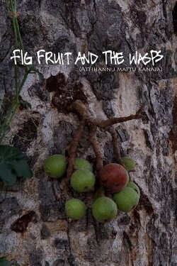 Fig Fruit and The Wasps (2014) Fig Fruit and The Wasps (2014)