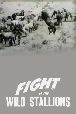 Fight of the Wild Stallions (1947) Fight of the Wild Stallions (1947)