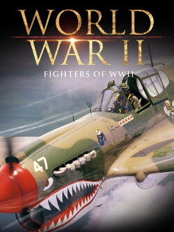 Fighters of WWII (2001) Fighters of WWII (2001)