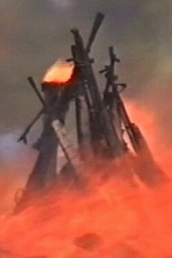 Fighting Weapons for Development (2001)