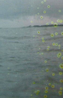 Film for Invisible Ink case no. 71: BASE-PLUS-FOG (2006) Film for Invisible Ink case no. 71: BASE-PLUS-FOG (2006)