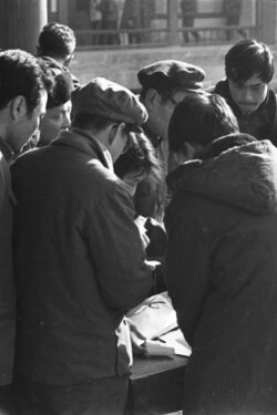 Film of Stars Group Activities (1979) Film of Stars Group Activities (1979)