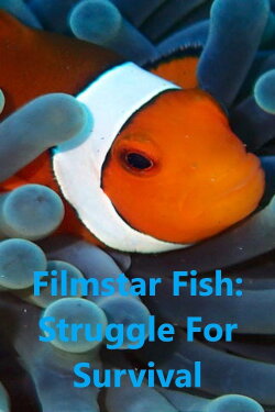 Filmstar Fish: Struggle For Survival (2011) Filmstar Fish: Struggle For Survival (2011)
