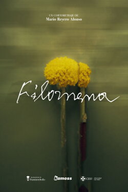 Filomena (2023) Filomena (2023)
