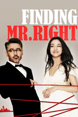 Finding Mr. Right (2013) Finding Mr. Right (2013)
