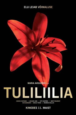 Fire Lily (2018) Fire Lily (2018)