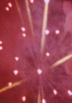 Fireworks (2010) Fireworks (2010)