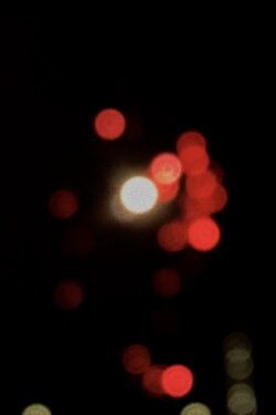 Fireworks (2022)