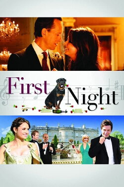 First Night (2010) First Night (2010)