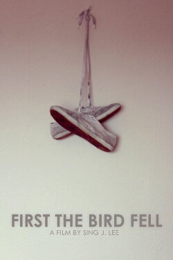 First the Bird Fell (2011)