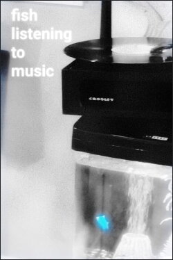 Fish Listening To Music (2022) Fish Listening To Music (2022)