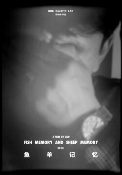 Fish Memory and Sheep Memory (2019)