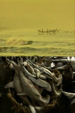 Fish Tales (1997)
