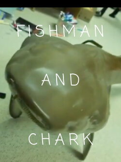 FishMan and Chark (2019) FishMan and Chark (2019)