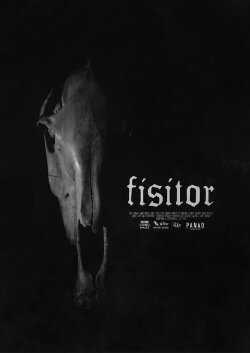 Fisitor (2024) Fisitor (2024)