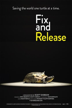 Fix and Release (2017)