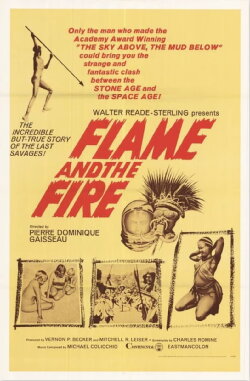 Flame and the Fire (1966)