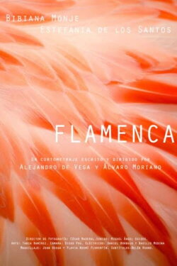 Flamenca (2018) Flamenca (2018)