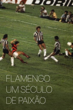 Flamengo: A Century of Passion (1995)