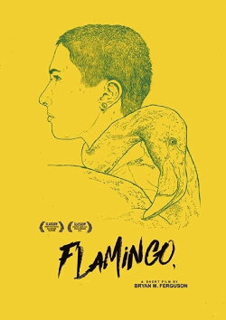 Flamingo (2016)
