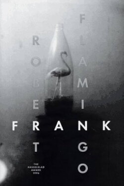 Flamingo (1996)