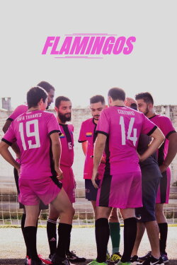 Flamingos (2019) Flamingos (2019)