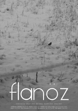 Flaneuse (2023)