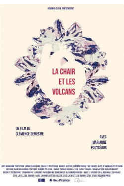 Flesh and Volcanoes (2014) Flesh and Volcanoes (2014)