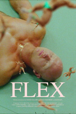 Flex (2020) Flex (2020)