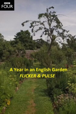 Flicker & Pulse (2016) Flicker & Pulse (2016)