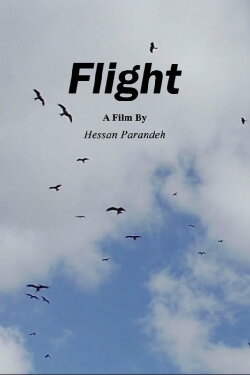 Flight (2023) Flight (2023)