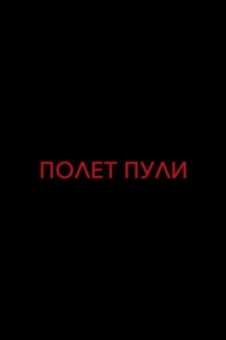 Flight of a Bullet (2017) Flight of a Bullet (2017)