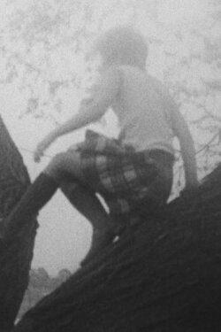 Flirr (1966) Flirr (1966)