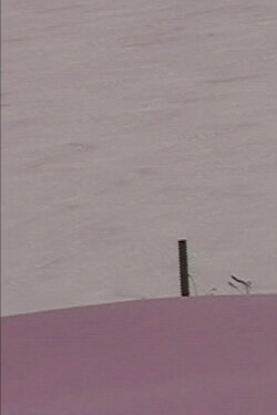 Floating Man (2020)