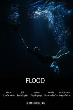Flood (2019) Flood (2019)
