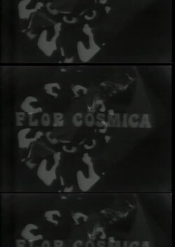 Flor Cosmica (1977) Flor Cosmica (1977)