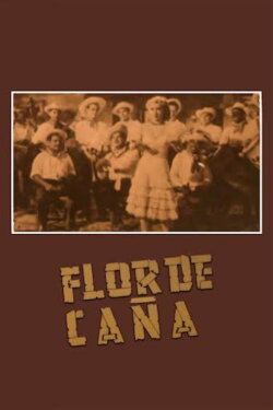 Flor de caña (1948)