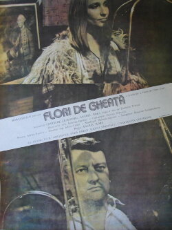 Flori de gheață (1989) Flori de gheață (1989)