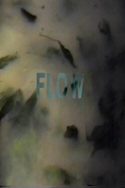 flow (1993) flow (1993)