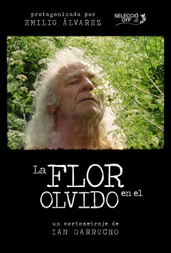 Flower in Oblivion (2024) Flower in Oblivion (2024)
