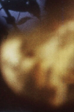 Flower Music (1970) Flower Music (1970)